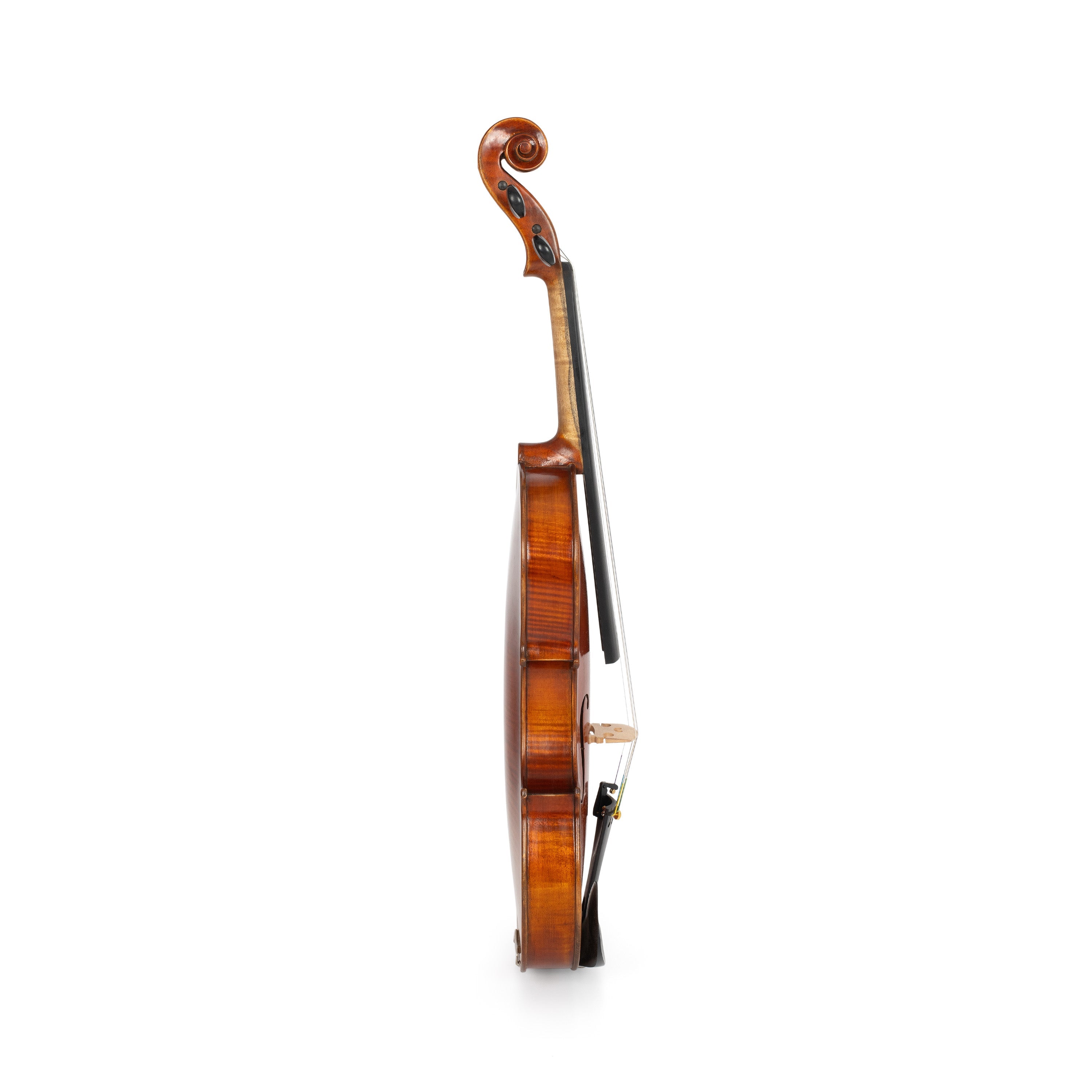MMX 705 Performer 4/4 violin | Frederick Hyde Music Distribution