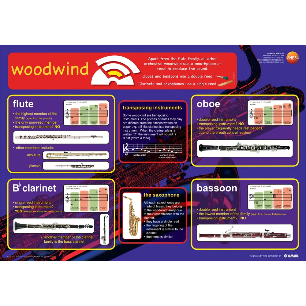 GNS-22 - Woodwind instruments - A1 educational poster A1