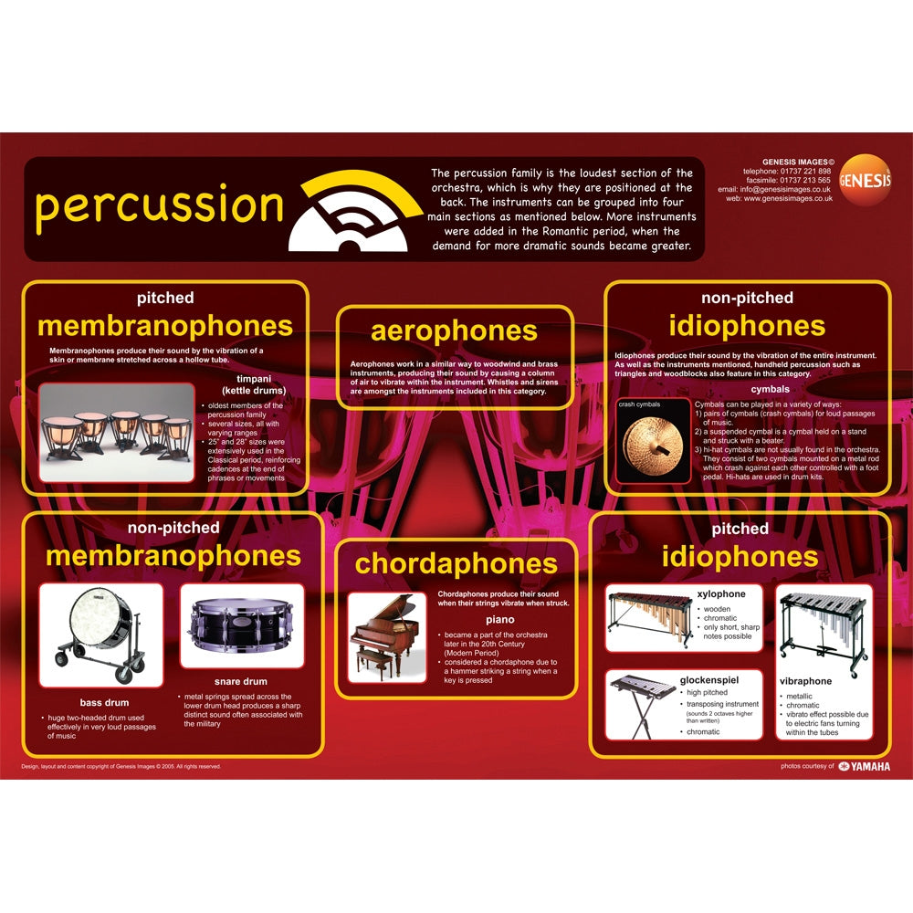 GNS-23 - Percussion instruments - A1 educational poster A1