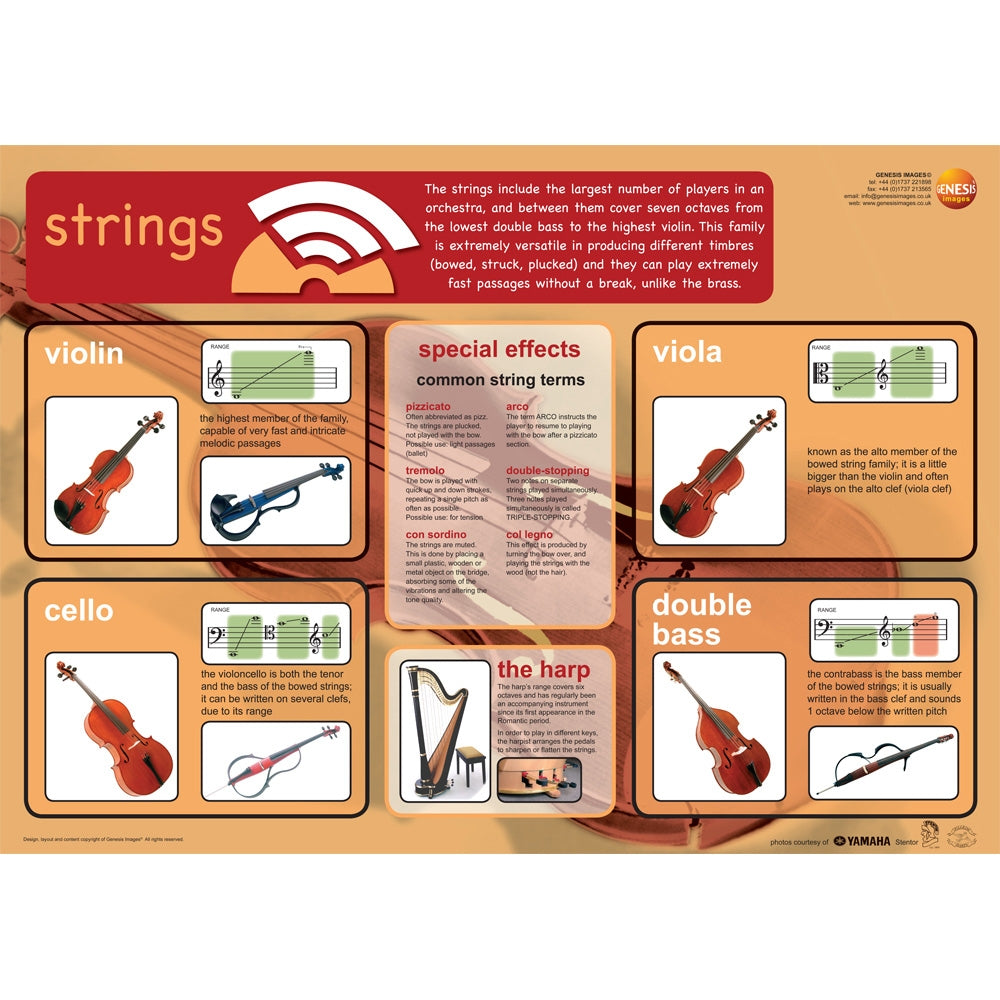 GNS-24 - Stringed instruments - A1 educational poster A1