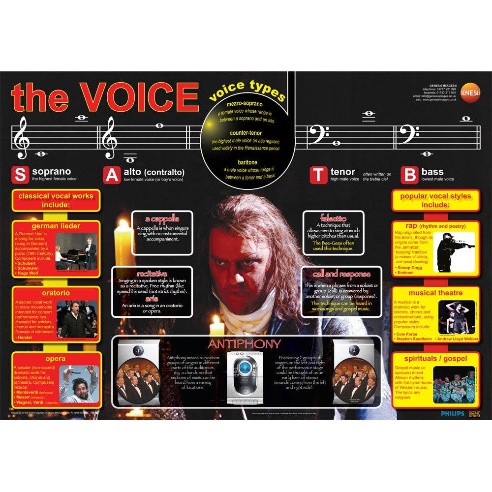 GNS-26 - The human voice - A1 educational poster A1