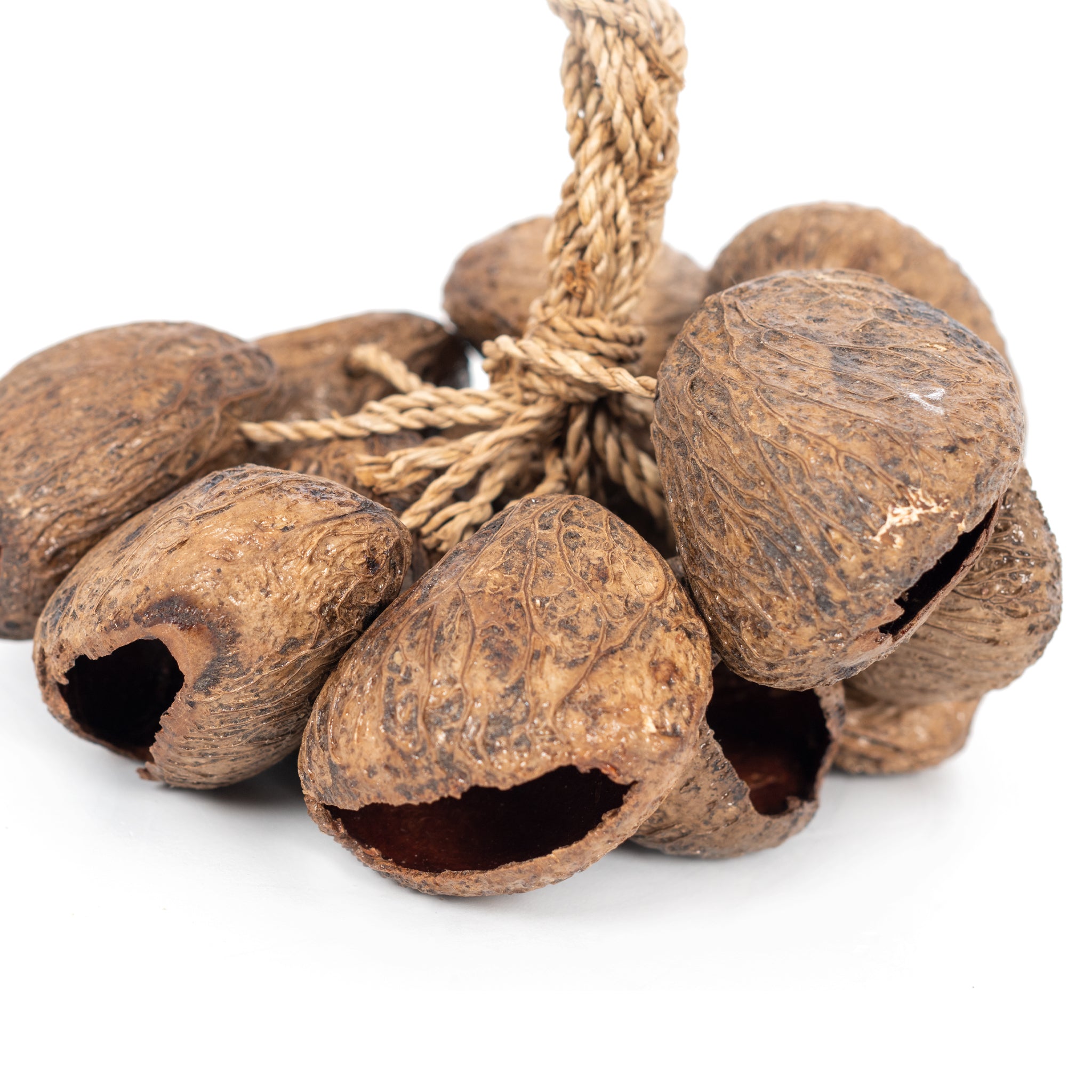 PP2064 - Percussion Plus Honestly Made Stringed seed shaker A1