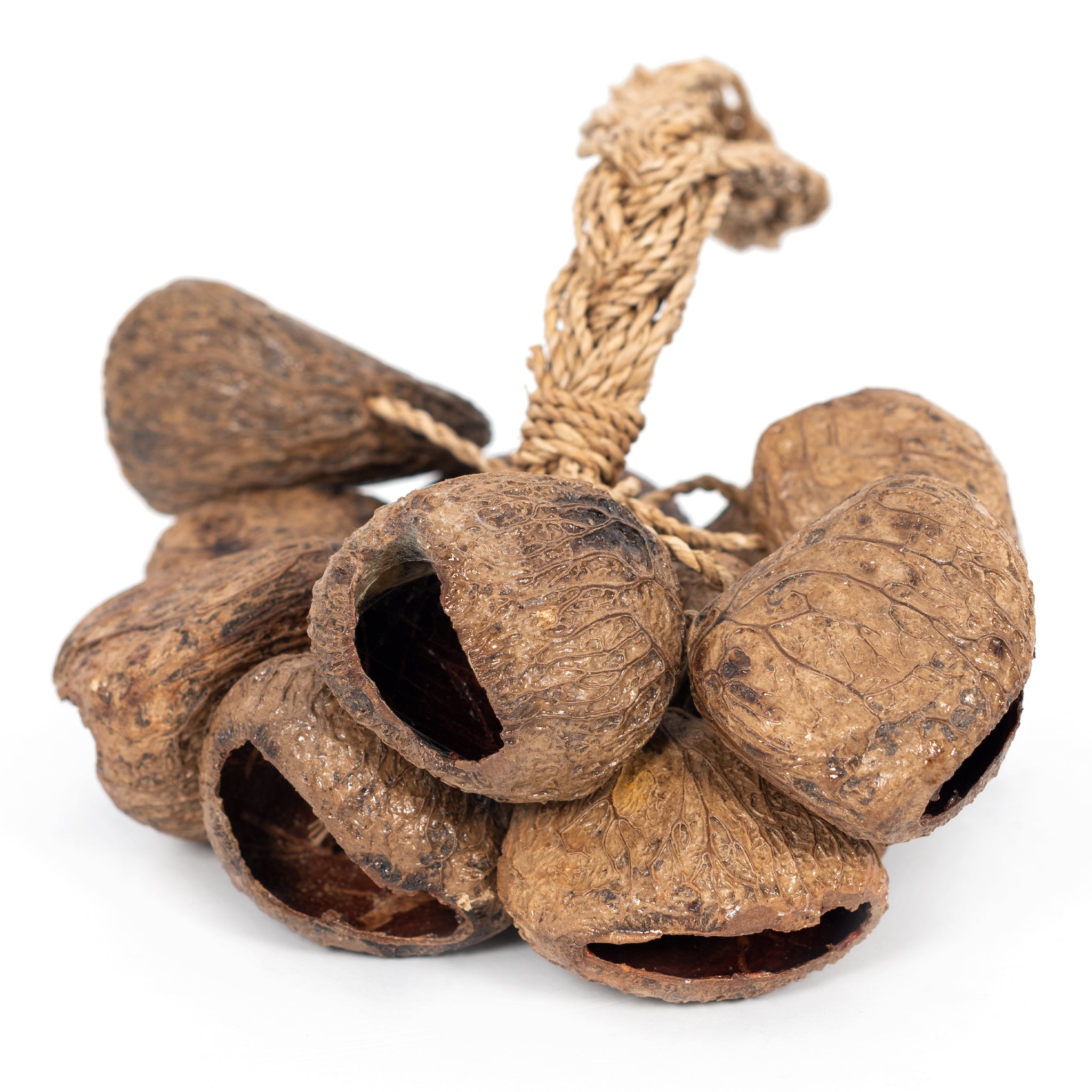 PP2064 - Percussion Plus Honestly Made Stringed seed shaker A1