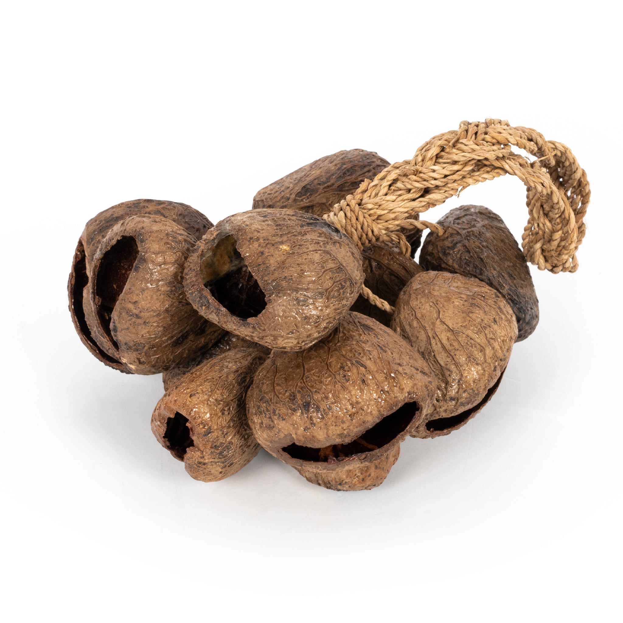 PP2064 - Percussion Plus Honestly Made Stringed seed shaker A1