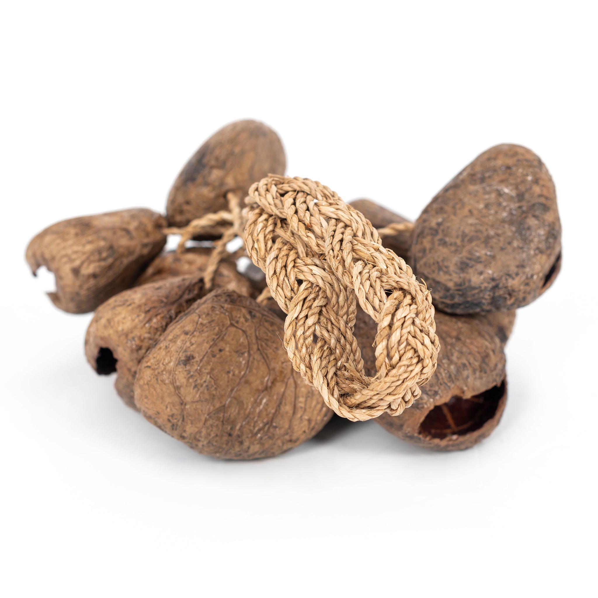 PP2064 - Percussion Plus Honestly Made Stringed seed shaker A1