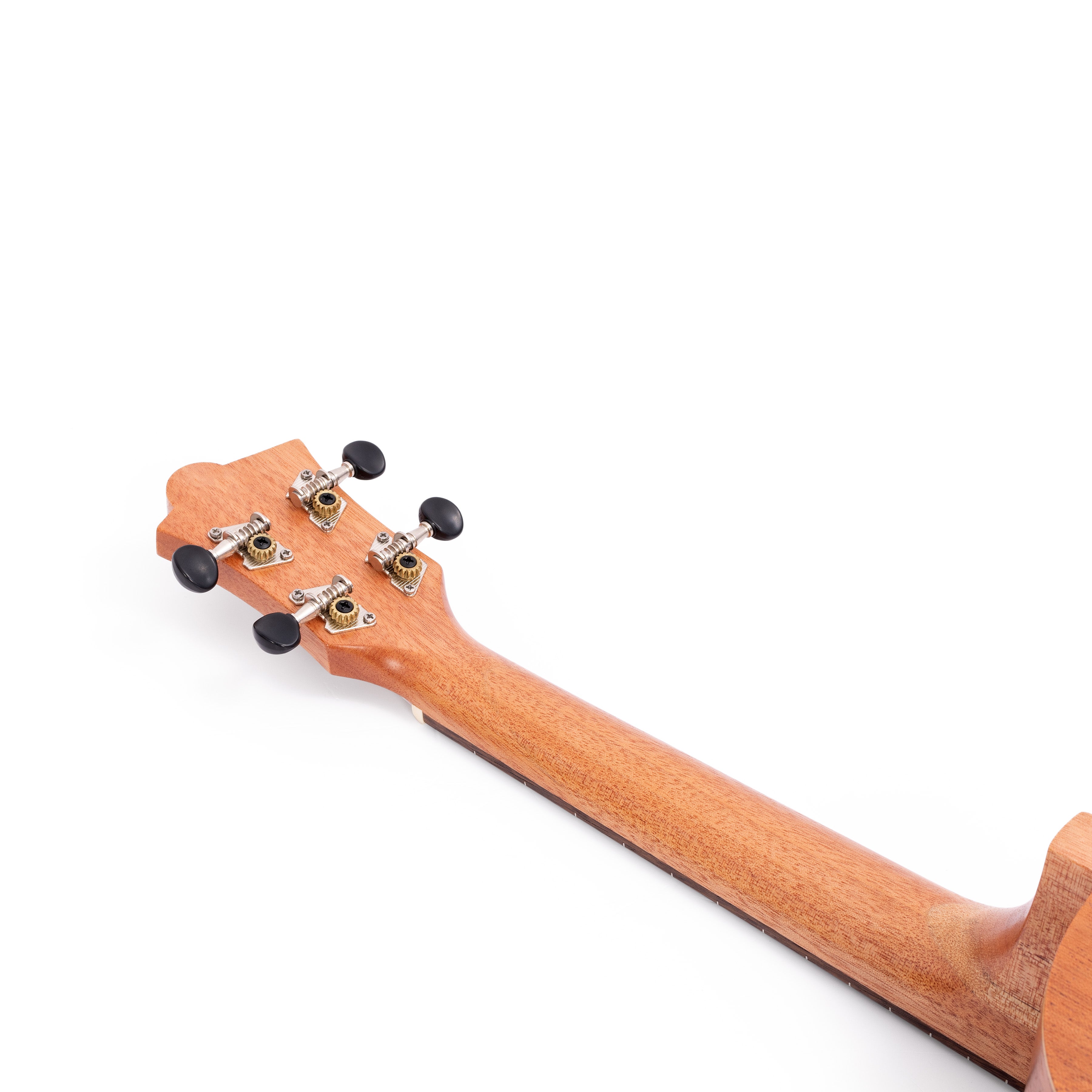 UK215T-NAT - Octopus Academy tenor ukulele A1