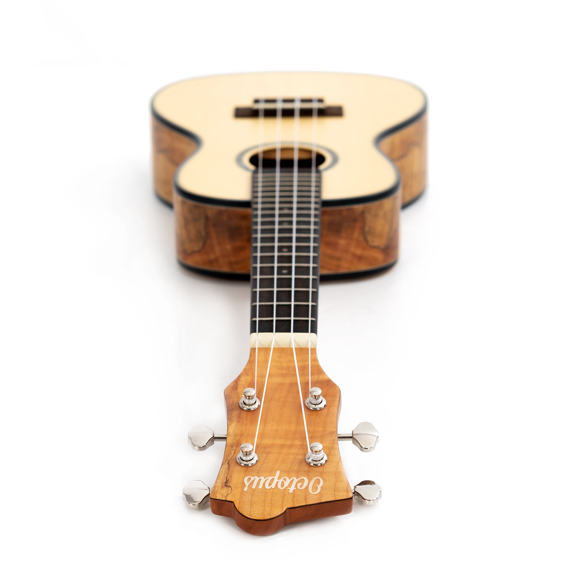 UK455C - Octopus Spalted maple with solid spruce top concert ukulele A1