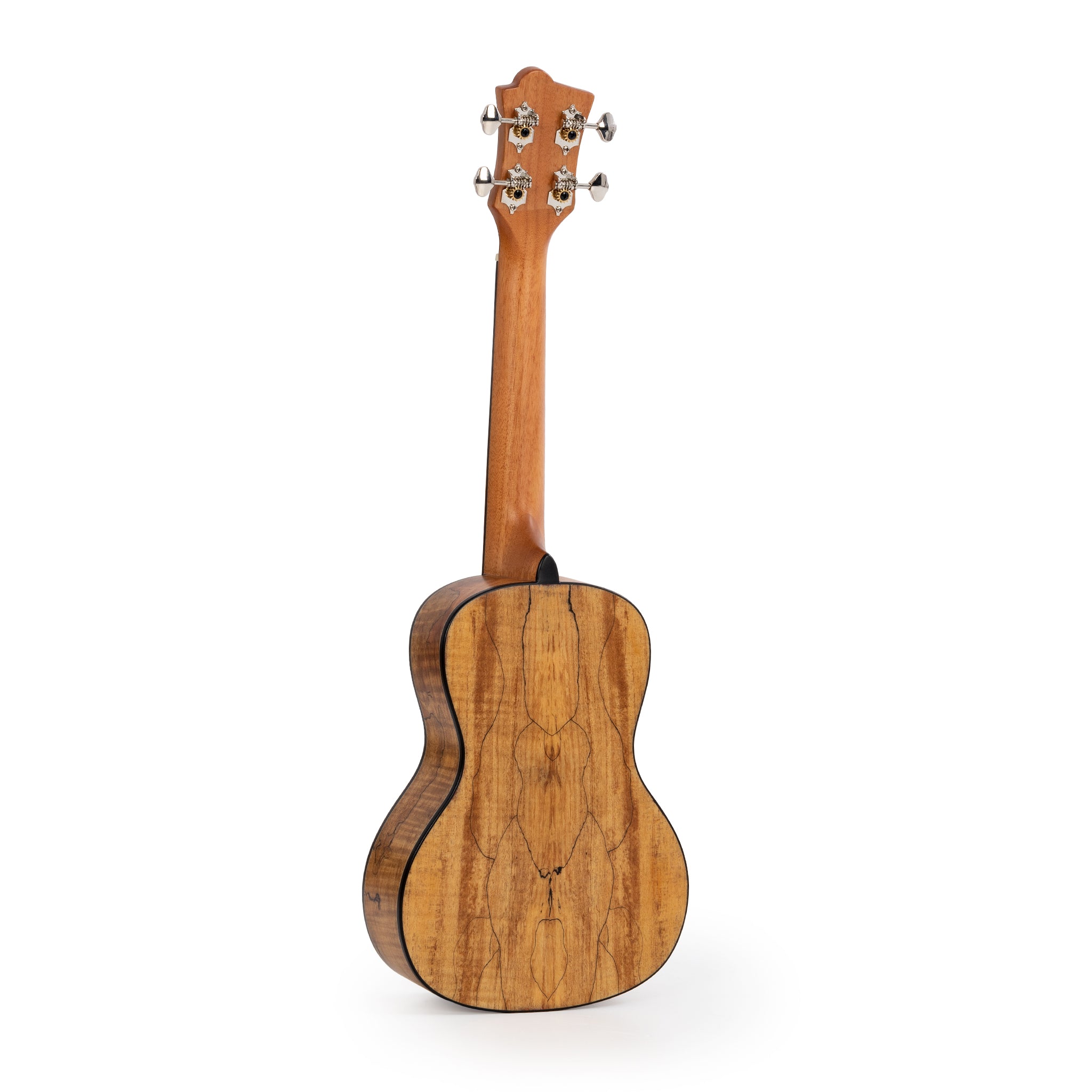 UK455C - Octopus Spalted maple with solid spruce top concert ukulele A1